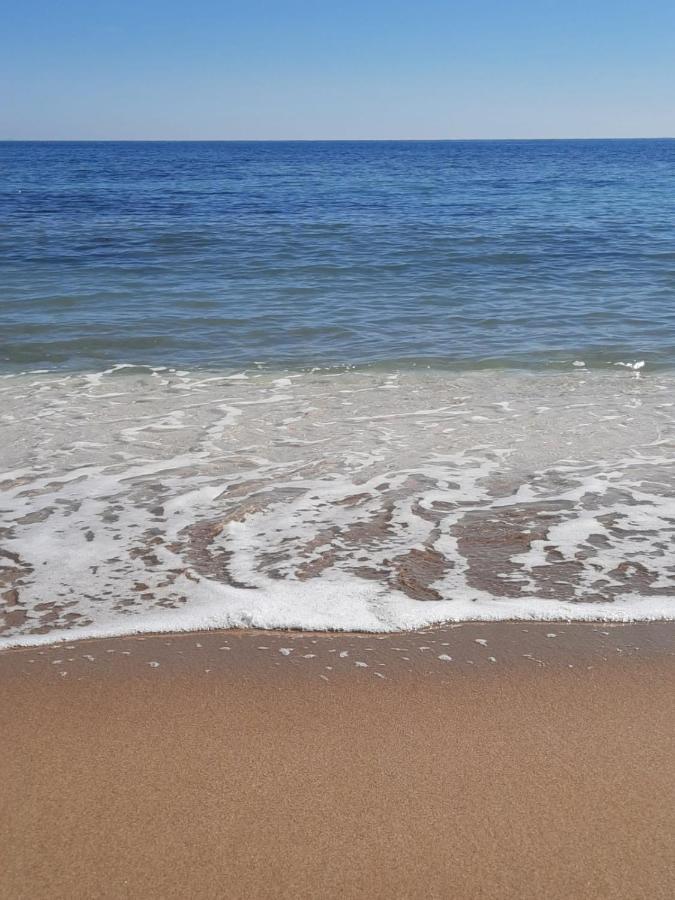 Студия На Белоснежном Пляже Los Locos Torrevieja Eksteriør bilde