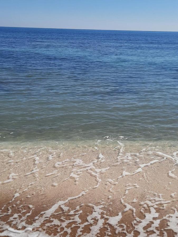 Студия На Белоснежном Пляже Los Locos Torrevieja Eksteriør bilde